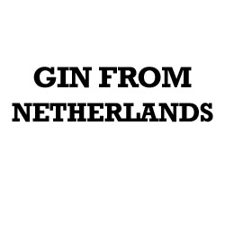 Dutch Gin