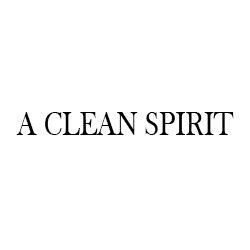 A Clean Spirit Rum