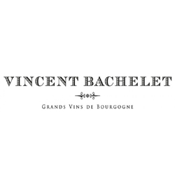 Domaine Vincent Bachelet