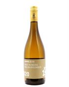 Weingut Hammel Bisserheimers Goldberg Sauvignon blanc 2018 Germany White Wine 75 cl 14%