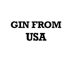 American Gin