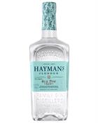 Haymans Old Tom Gin 70 cl 41,4%
