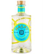 Malfy gin with lime 
