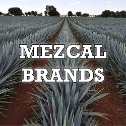 Mezcal Brands