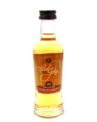 Paul John Miniature Brilliance Indian Single Malt Whisky 5 cl 46%