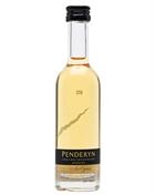 Penderyn Miniature Single Malt Welch Whisky 5 cl 46%