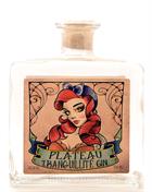 Plateau Tranquillite Handcrafted Gin Small Batch Tonny Svensson 50 cl 42,1%