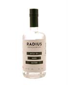 Radius Batch No. 044 Cucumber Sea Buckthorn Danish Organic Gin 50 cl 43%