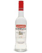 Sambuca Liqueur from Italy