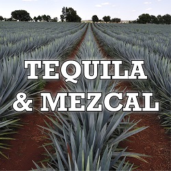 Tequila & Mezcal