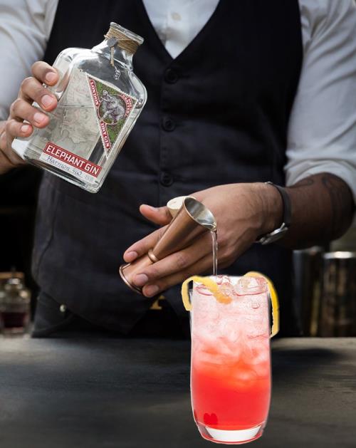 Have you tried the Sloe Fizz Cocktail with Elephant Gin?