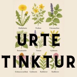 Herbal tincture